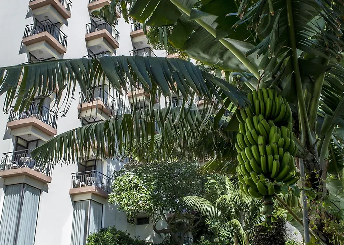 Dorisol Buganvilia Hotel Funchal (Madeira)