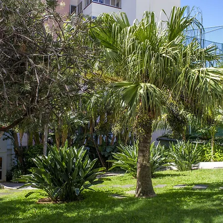 Dorisol Buganvilia 3*