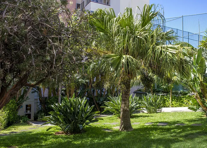 Dorisol Buganvilia 3*