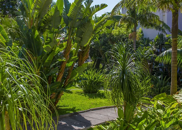 Hotel Dorisol Buganvilia Funchal (Madeira)