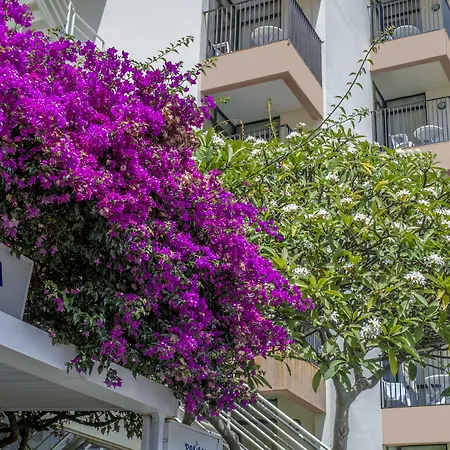 Hotel Dorisol Buganvilia