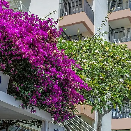 Buganvilia 3* Funchal (Madeira)