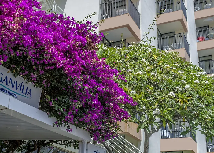 Hotel Dorisol Buganvilia